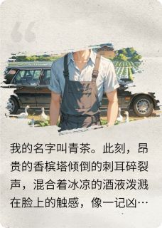 青茶顾屿全文小说最新章节阅读青茶顾屿