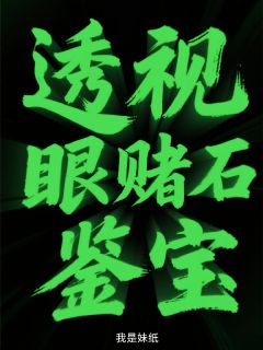 （全集-免费）透视眼赌石鉴宝完本小说_苏明王彩儿全文免费阅读