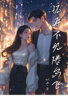 新上孤舟不见倦鸟飞叶九小说免费阅读