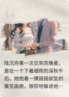 主角苏晚星陆沉舟傅琛小说，星星只认银河免费阅读全文