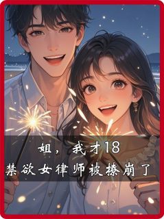 姐，我才18，禁欲女律师被撩崩了小说(完结)-宋琳琳徐明浩无删减阅读