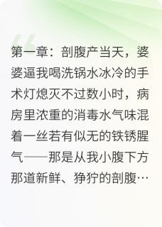 月子妈妈暴撕恶婆婆未删减阅读-暗夜阅读网