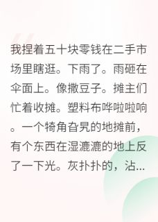 在二手市场淘到了一个神奇的宝贝完整版-周砚林晓晓在线全文阅读
