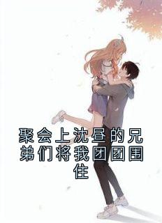 抖音聚会上沈昼的兄弟们将我团团围住txt小说阅读-暗夜阅读网