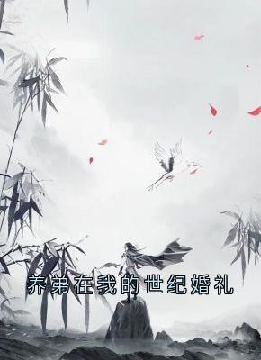 (抖音)养弟在我的世纪婚礼 主角关清漓沐陆夏-暗夜阅读网