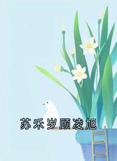 苏禾岁顾凌旭小说全集(顾凌旭苏禾岁)无弹窗广告阅读-暗夜阅读网