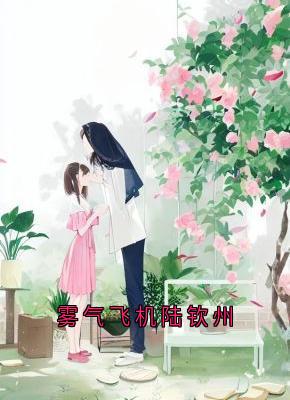 雾气飞机陆钦州是什么小说苏言星陆钦州全本免费阅读-暗夜阅读网