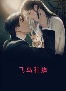 飞鸟和蝉小说沈安露纪炎林汀婉免费阅读