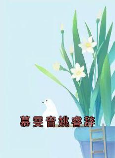 慕雯音姚睿辞章节全目录 慕雯音姚睿辞全文免费阅读