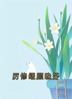 厉修缙顾晚妤全集小说_厉修缙顾晚妤完结版阅读