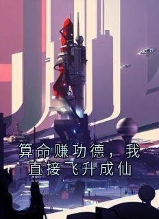 算命赚功德，我直接飞升成仙小说的书名是什么