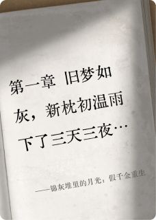 锦灰堆里的月光：假千金重生小说最后结局，林微婉傅斯年林菀青百度贴吧小说全文免费-暗夜阅读网