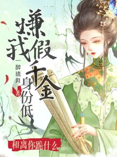 嫌我假千金身份低，和离你跪什么楼心月沈华年若兮全章节完结版在线阅读-暗夜阅读网