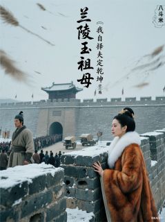 高欢娄昭君小说抖音热文兰陵王祖母：我自择夫定乾坤完结版