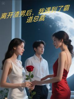 快手顾斐沈砚林念安主角的小说全本章节大结局-暗夜阅读网