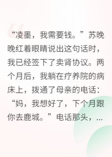 苏晚晚陆轻羽凌墨是什么小说免费版阅读抖音热文