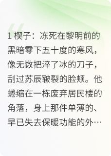 全网首发完整小说凛冬重生：我的物资库足以御寒主角苏辰林薇在线阅读-暗夜阅读网