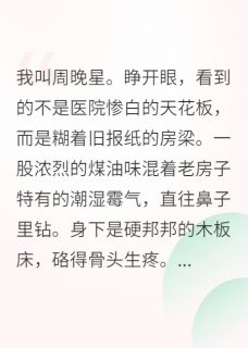 重生八零，我要当万元户完整版-晓月周晚星李桂香在线全文阅读
