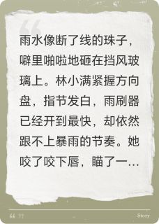 老书虫书荒推荐永恒如雨txt小说阅读
