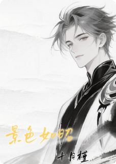 景色如昭小说(完结版)-苏昭路景舟赵书衍在线阅读