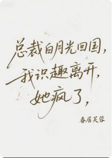 抖音爆款总裁白月光回国我识趣离开她疯了完整小说（全文阅读）