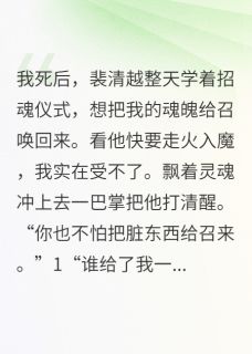 余生再无倾城雪裴清越夏天-小说txt全文阅读
