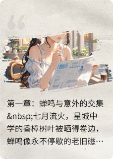 优质新书夏日薄荷与白衬衫最新章节小说全文阅读