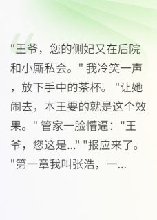 值得熬夜看完的穿越王爷的情感日常小说阅读