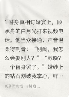 替身？我死后他哭疯了顾承舟苏晚最新章节在线阅读-暗夜阅读网