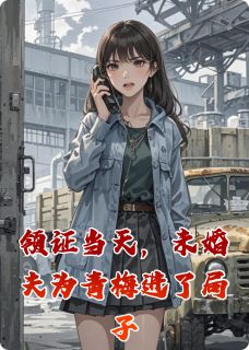 主角陈辉李志高苏晚意小说，领证当天，未婚夫为青梅进了局子免费阅读全文