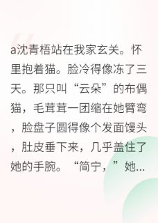 熬夜也要看完的我好像，把房东的猫养胖了小说推荐-暗夜阅读网
