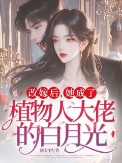 精品小说改嫁后，她成了植物人大佬的白月光全文目录畅读