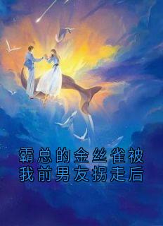 主人公南乔箫承渊在线免费试读霸总的金丝雀被我前男友拐走后最新章节列表