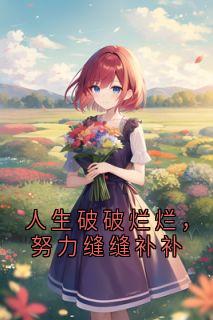 【新书】人生破破烂烂，努力缝缝补补主角林祁霍擎全文全章节小说阅读