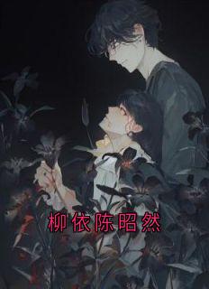 柳依陈昭然全本章节在线阅读大结局