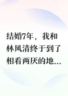 无弹窗小说恋爱后，我决定和老公离婚 作者三年树木