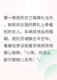 苏晓雨陆景深小说陆总太太死而复生了免费阅读-暗夜阅读网