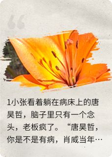 精品小说捐肾给情敌后情敌歇菜了全文目录畅读