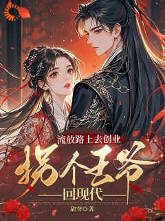 流放路上去创业，拐个王爷回现代主角是王念念慕容辰小说百度云全文完整版阅读