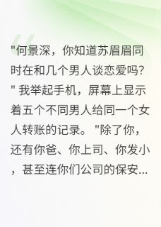 职业小三收割机何景深林婉婉苏眉眉小说完整在线阅读