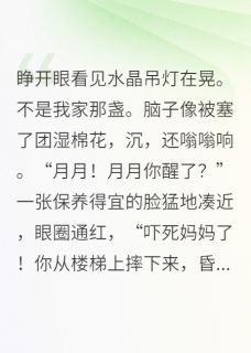 穿成团宠对照组我佛了秦照野江临渊沈停云大结局小说全章节阅读