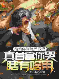 快手热文别装了！你的套路我已识破顾北辰虞彤裴安小说推荐-暗夜阅读网