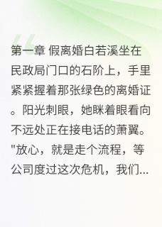 假离婚后我发现他有小三by一晌温柔免费阅读小说大结局