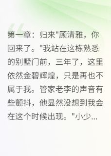 萧景寒宸宸林雅婷全集小说_夺子归来：前妻她不好惹完结版阅读