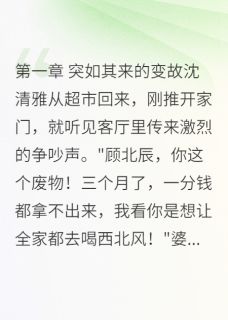 精品小说丈夫被包养的真相全文目录畅读