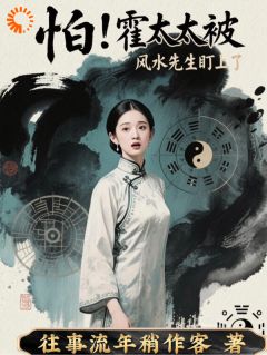 书荒必备林晚意霍启年小说-暗夜阅读网