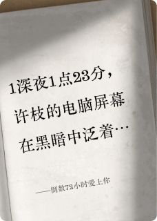 抖音小说倒数72小时爱上你,主角陆洲许枝最后结局小说全文免费