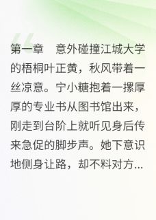 好文热推小说病态男友当我是宠物主角宁小糖秦时归全文在线阅读-暗夜阅读网