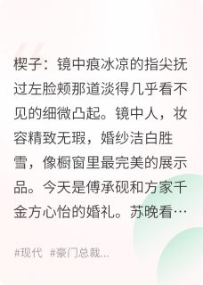 最后一场小说(完结)-苏晚傅承砚方心怡章节阅读