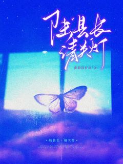 全章节小说陆县长，请关灯番茄没有皮最新阅读-暗夜阅读网